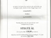 Side 13